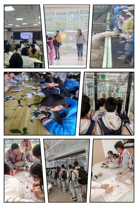 微信图片_20251202175532_188_5